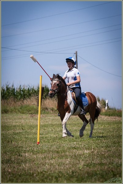 Mounted Games 196